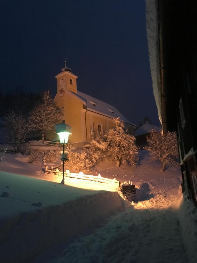 Ferienwohnung Stockenhuber Sankt Martin am Grimming 外观 照片
