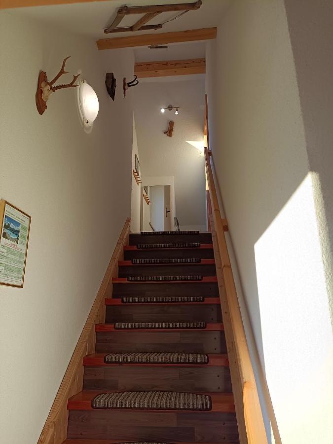 Ferienwohnung Stockenhuber Sankt Martin am Grimming 外观 照片